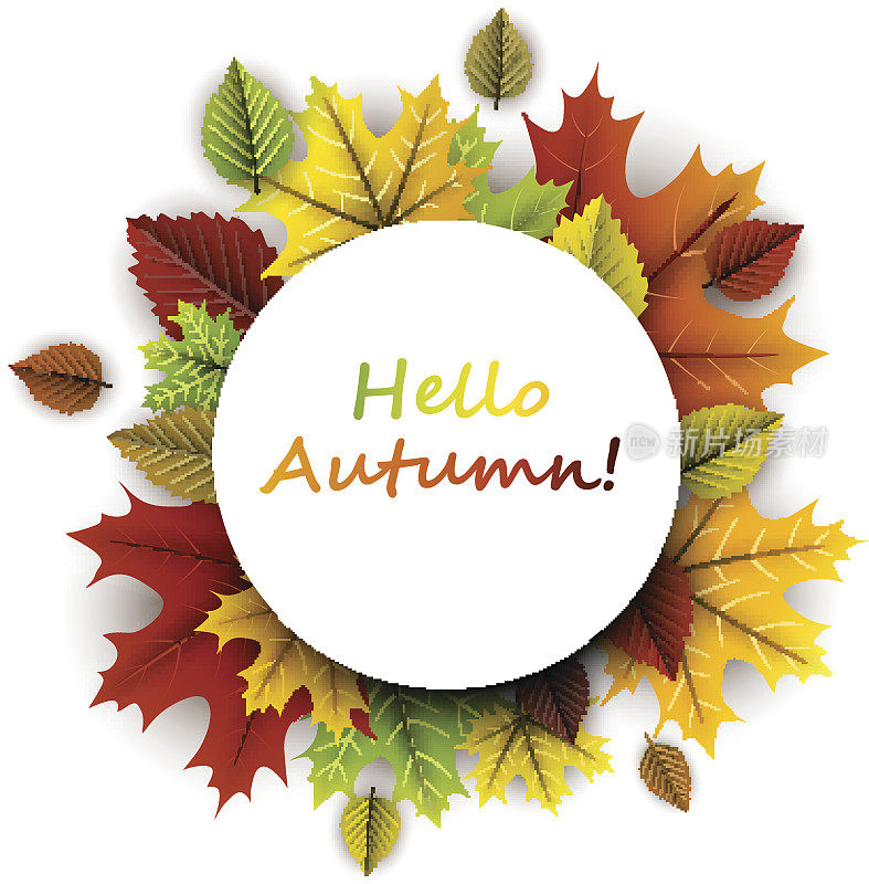 Hello autumn card with colorful leaves.秋天卡片。